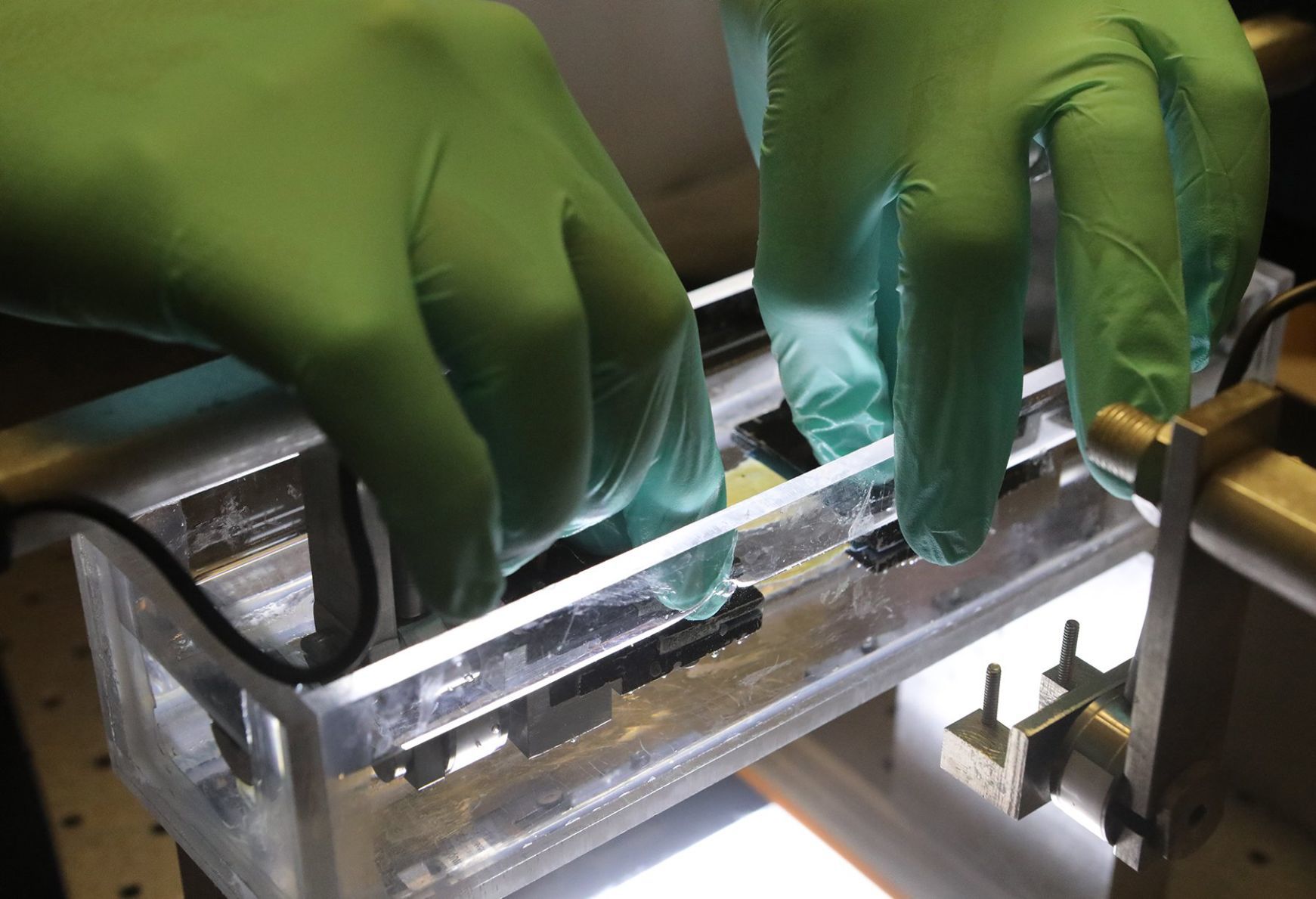 Wash U researchers are studying tendon damage